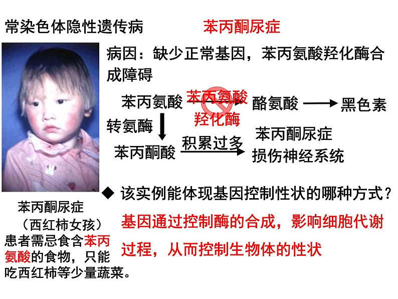 5.3人类遗传病课件PPT第7页