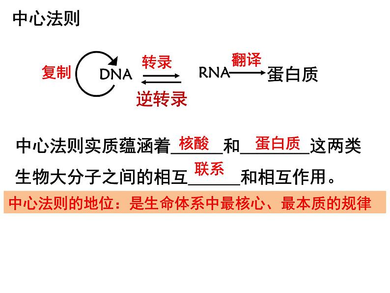 基因表达与性状的关系课件PPT第7页