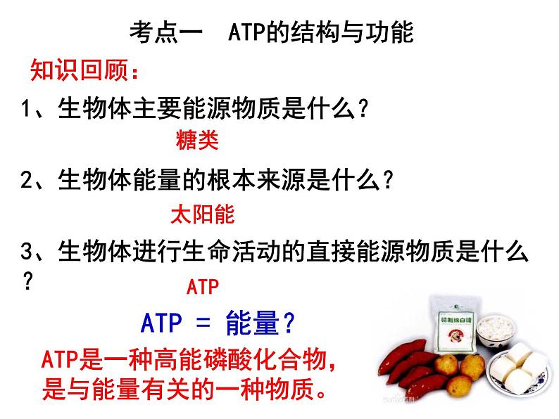 第八讲ATP与细胞呼吸课件PPT第2页