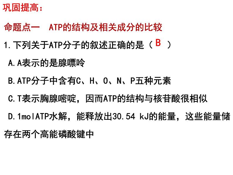 第八讲ATP与细胞呼吸课件PPT第6页