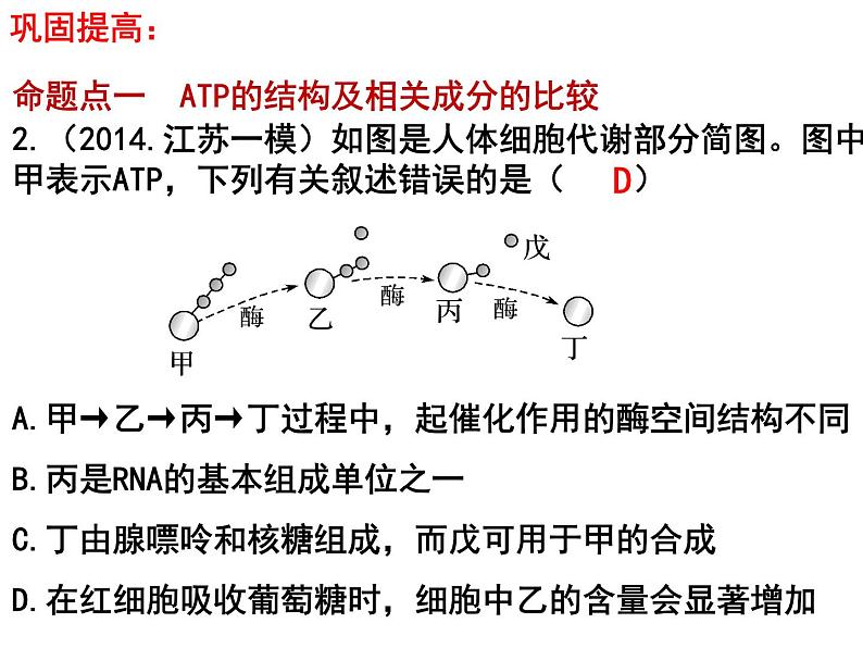 第八讲ATP与细胞呼吸课件PPT第7页