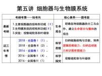 第五讲细胞器与生物膜系统课件PPT