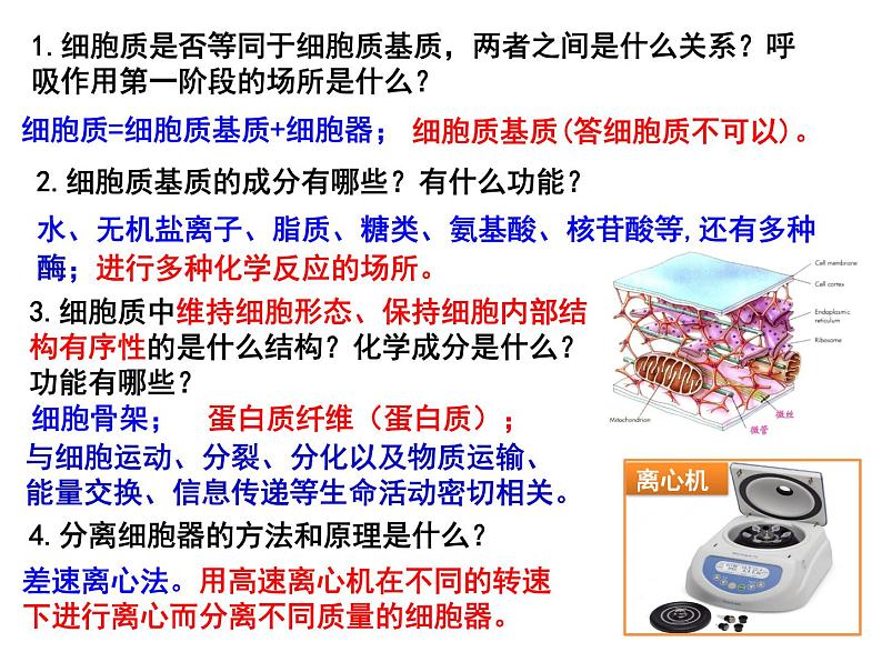 第五讲细胞器与生物膜系统课件PPT03