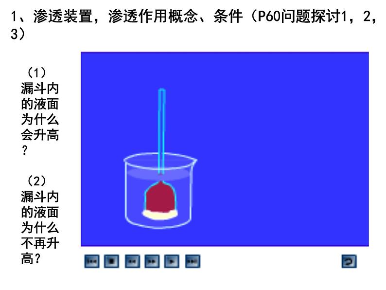 第六讲细胞的物质输入和输出课件PPT第3页