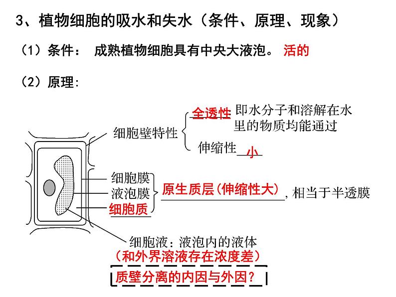 第六讲细胞的物质输入和输出课件PPT第6页