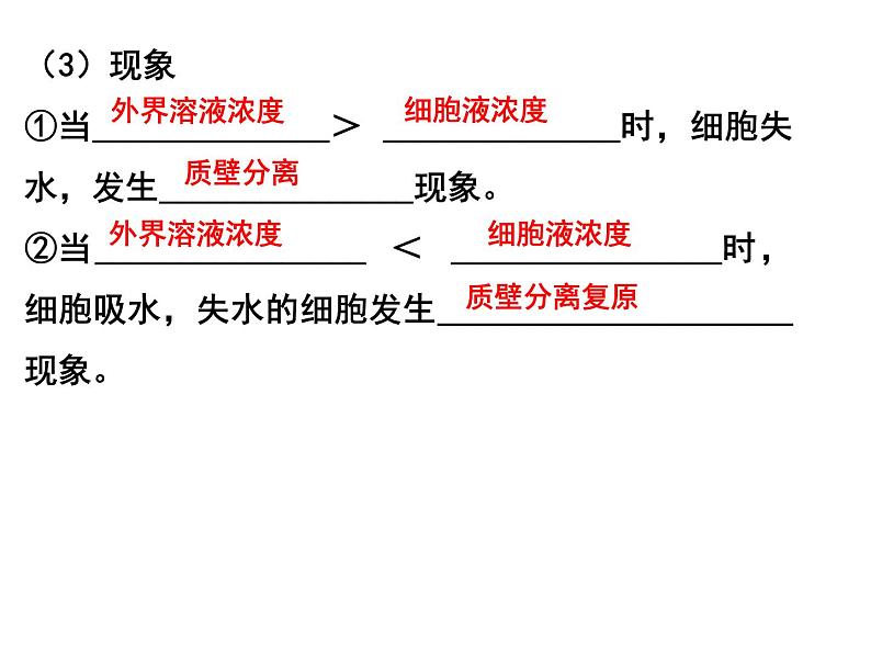 第六讲细胞的物质输入和输出课件PPT第7页