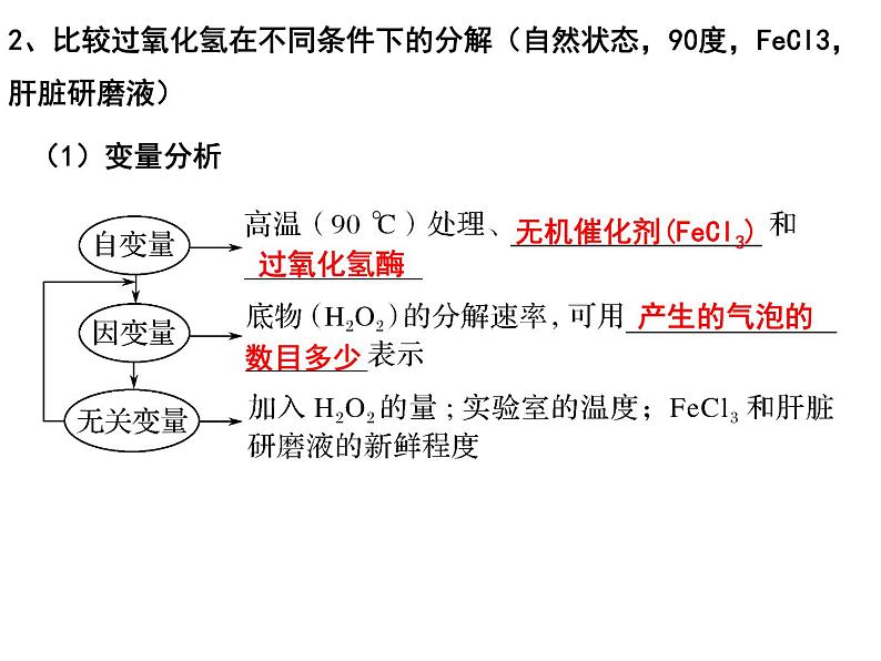 第七讲酶的本质、特性及相关实验探究课件PPT05