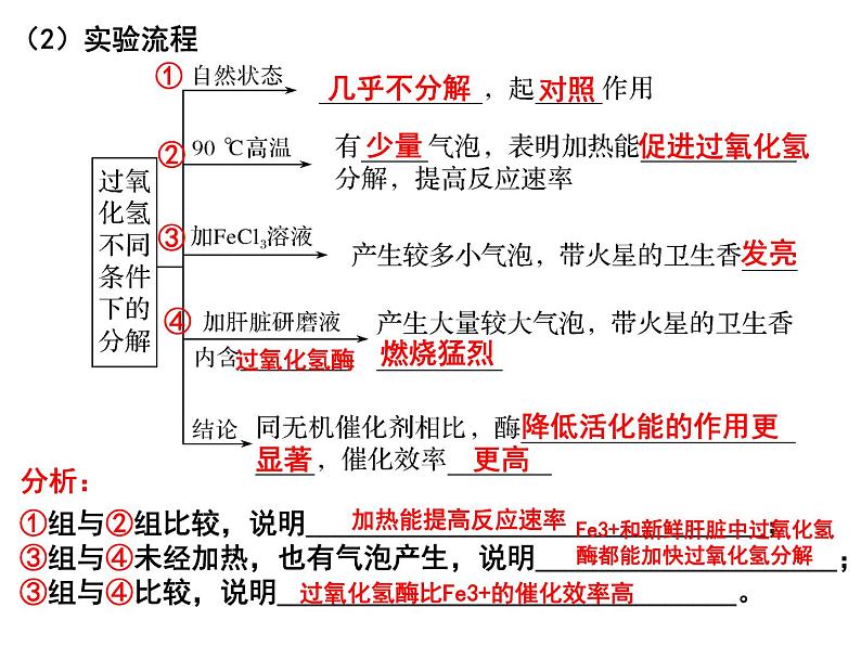 第七讲酶的本质、特性及相关实验探究课件PPT06