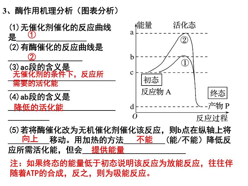 第七讲酶的本质、特性及相关实验探究课件PPT07