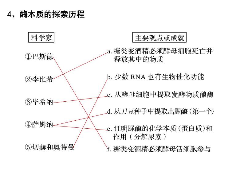 第七讲酶的本质、特性及相关实验探究课件PPT08