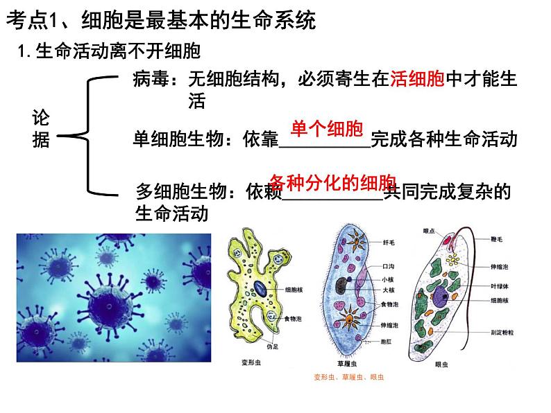 第一讲借助显微镜走近细胞课件PPT第2页