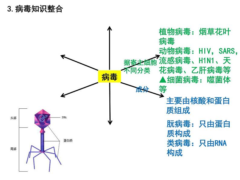 第一讲借助显微镜走近细胞课件PPT第6页