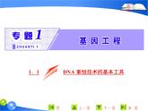 专题1  1．1 DNA重组技术的基本工具课件PPT