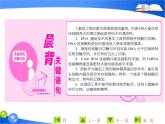 专题1  1．1 DNA重组技术的基本工具课件PPT