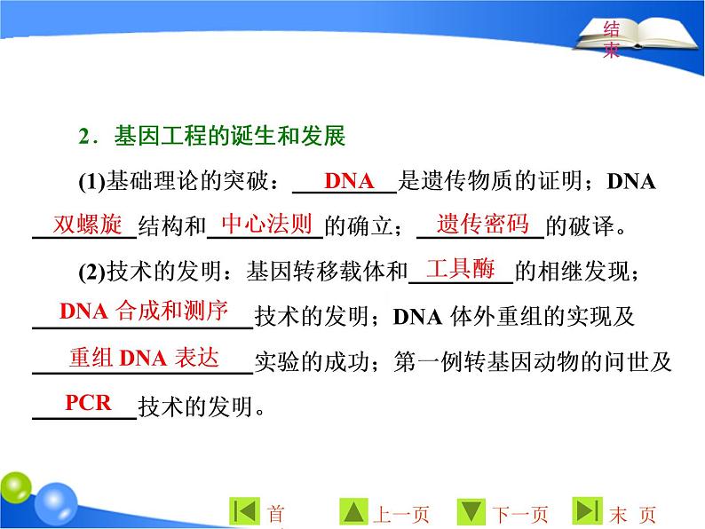 专题1  1．1 DNA重组技术的基本工具课件PPT04