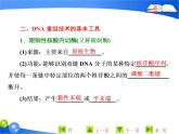 专题1  1．1 DNA重组技术的基本工具课件PPT
