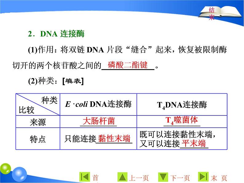 专题1  1．1 DNA重组技术的基本工具课件PPT07