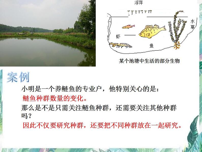 高考生物专题复习 群落 （一轮复习）公开课课件第2页