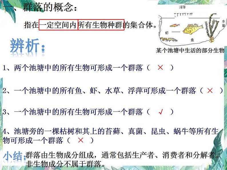 高考生物专题复习 群落 （一轮复习）公开课课件第3页