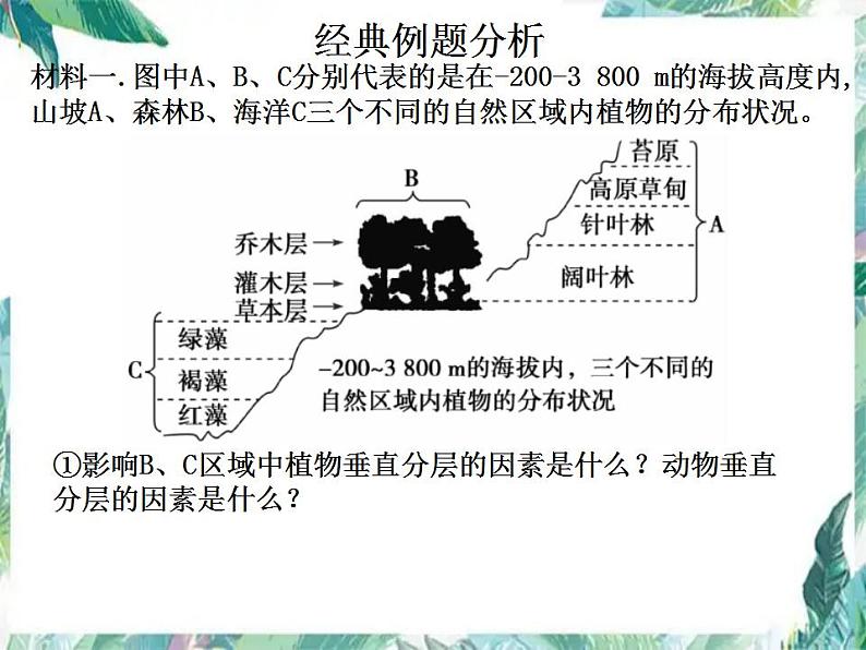 高考生物专题复习 群落 （一轮复习）公开课课件第6页