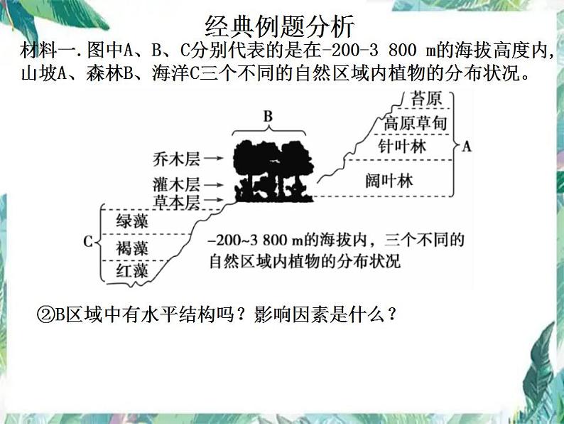 高考生物专题复习 群落 （一轮复习）公开课课件第8页