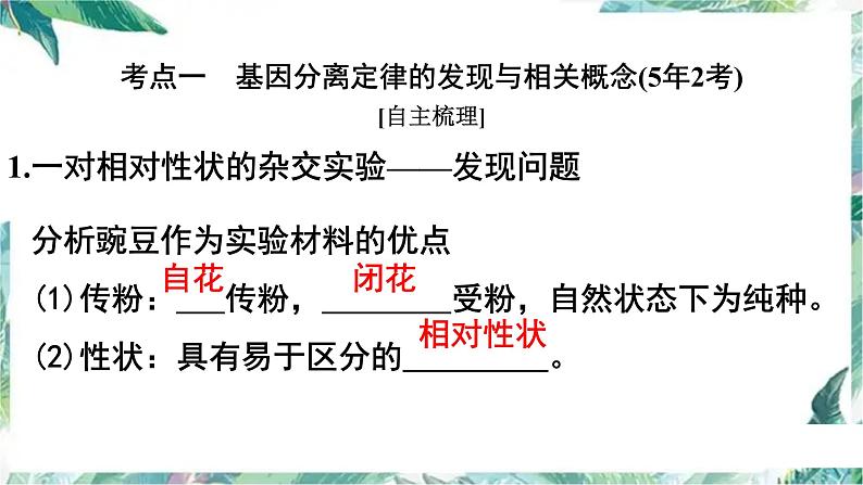 基因的分离定律一轮复习 优质课件第3页