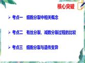 高考生物二轮复习 细胞分裂课件PPT