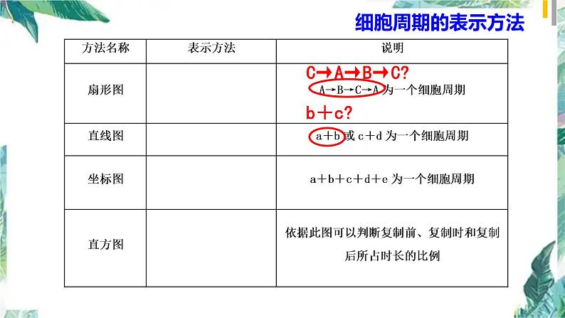 高考生物二轮复习 细胞分裂课件PPT第6页