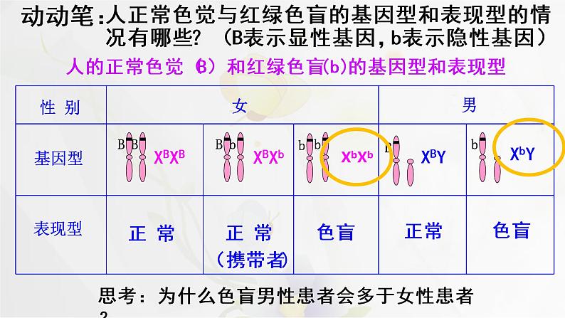 2.3伴性遗传课件PPT第7页