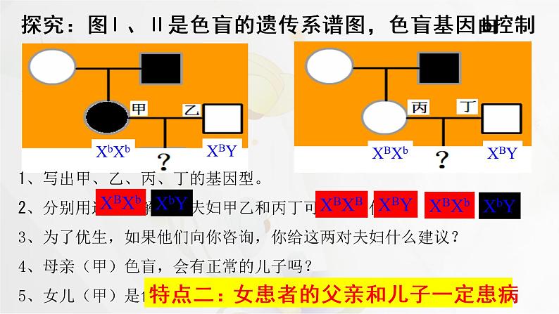 2.3伴性遗传课件PPT第8页