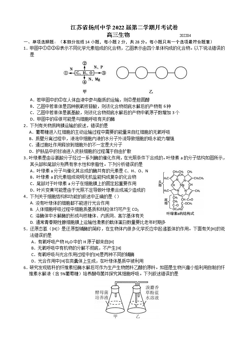 江苏省扬州中学2021-2022学年高三下学期4月生物月考试卷第1页