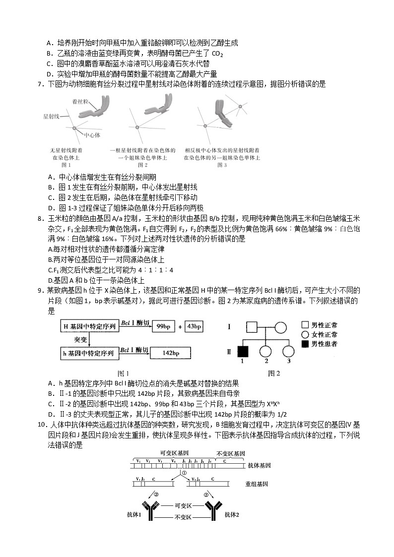 江苏省扬州中学2021-2022学年高三下学期4月生物月考试卷第2页