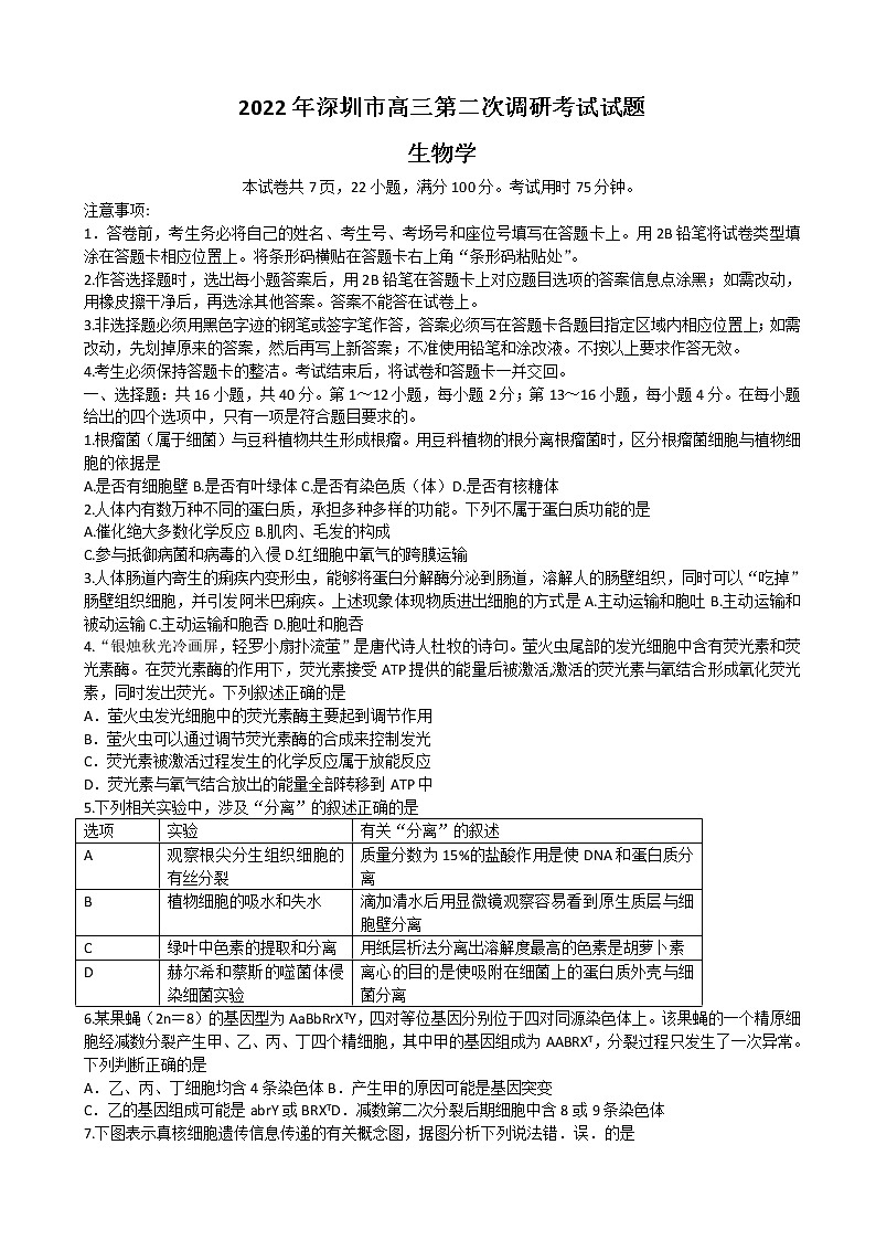 2022届广东省深圳市高三下学期第二次调研考试（二模）（4月）生物试题含答案01