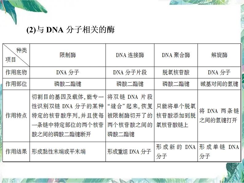 基因工程及其安全性 专题复习课件第6页