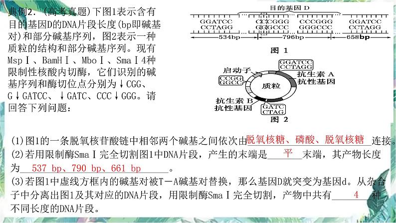 高考生物专题复习 基因工程公开课优质课件第3页