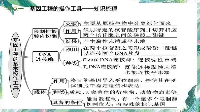 高考生物专题复习 基因工程公开课优质课件第4页