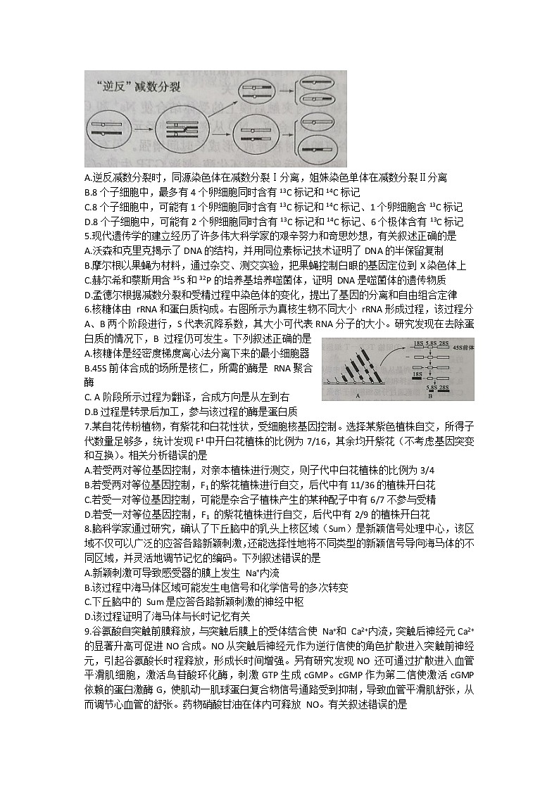 2022枣庄高三下学期二模生物试题含答案02