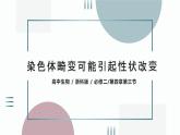4.3.1 《染色体畸变可能引起性状改变》课件+教案