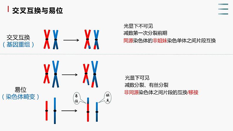 4.3.1 《染色体畸变可能引起性状改变》课件+教案07