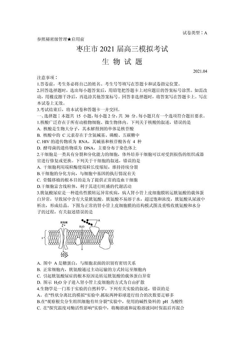 2021届山东省枣庄市高三下学期4月模拟考试（二模）生物试题 PDF版01