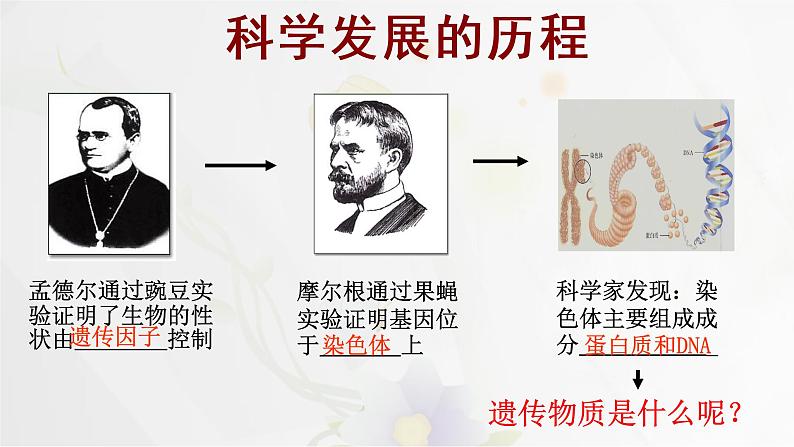 3.1 DNA是主要的遗传物质课件PPT01