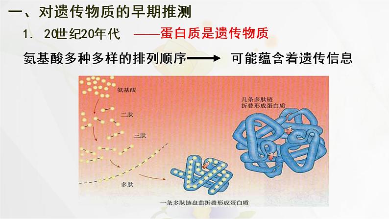 3.1 DNA是主要的遗传物质课件PPT03