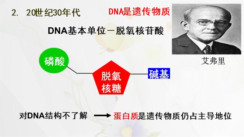 3.1 DNA是主要的遗传物质课件PPT04