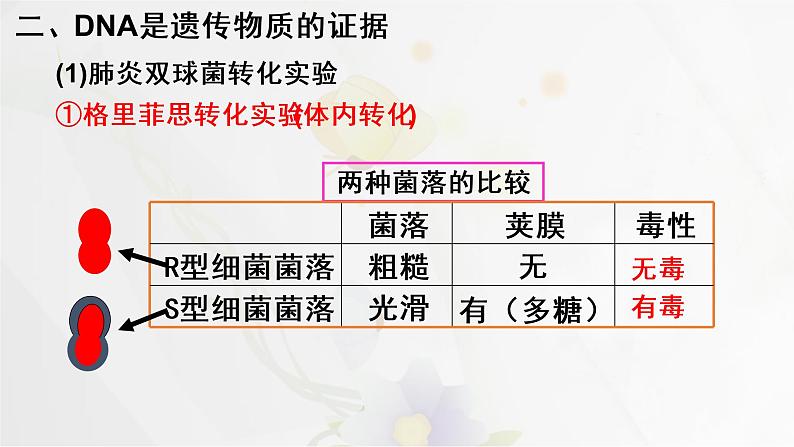 3.1 DNA是主要的遗传物质课件PPT05