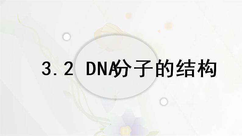 3.2DNA的结构课件PPT第2页