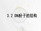 3.2DNA的结构课件PPT