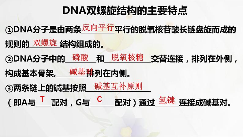 3.3DNA的复制课件PPT第1页