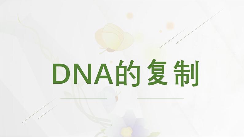 3.3DNA的复制课件PPT第3页