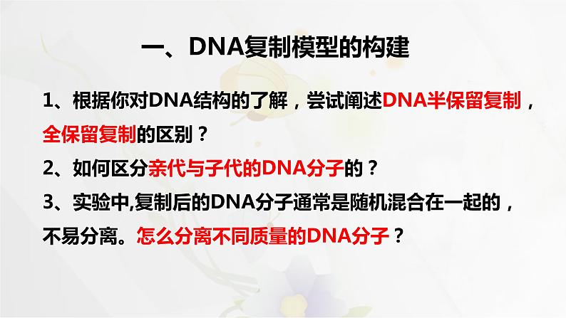 3.3DNA的复制课件PPT第4页