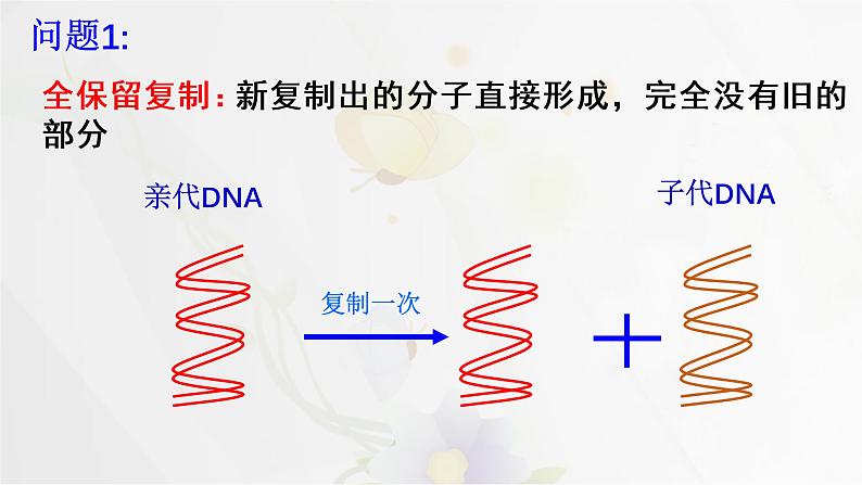 3.3DNA的复制课件PPT第5页